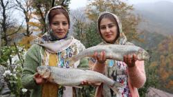 لاوانگی ماهی خاص ترین آش سنتی آذری و تالش