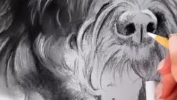 آموزش نقاشی سگ مشگی زیبا در 30 ثانیه