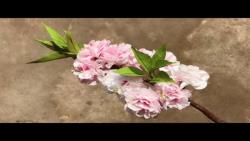 آموزش کامل ساخت شکوفه های آلبالو با دستمال کاغذی
